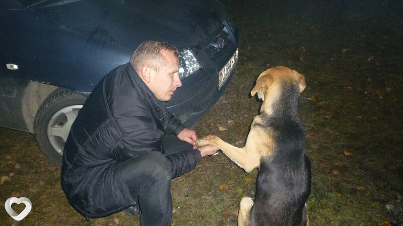 Александр, 42, Минске — анкета №557647