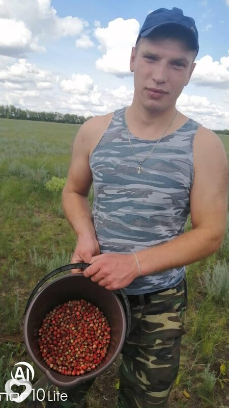 Владимир, Родино