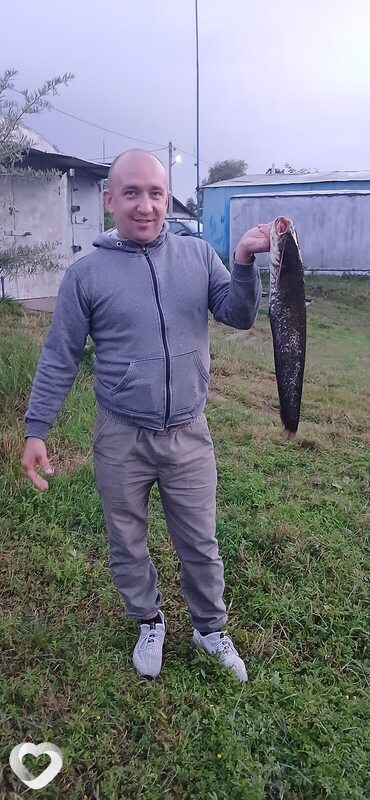 Дмитрий, 35, Борисове — анкета №561329