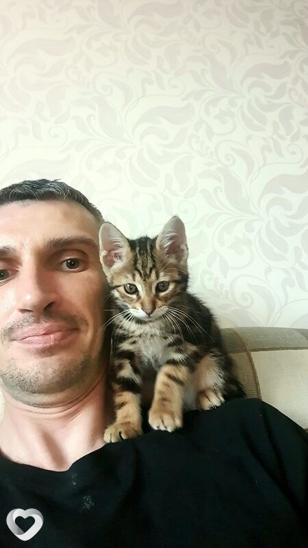 Денис, 38, Шарыпове — анкета №562072