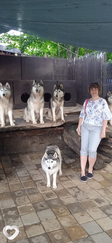 Лина, 51, Челябинске — анкета №565249