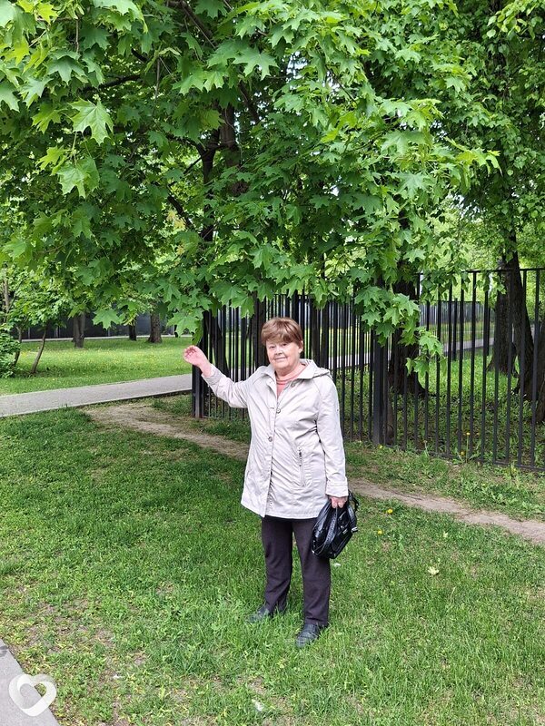 Галина, 71, Москве — анкета №565279