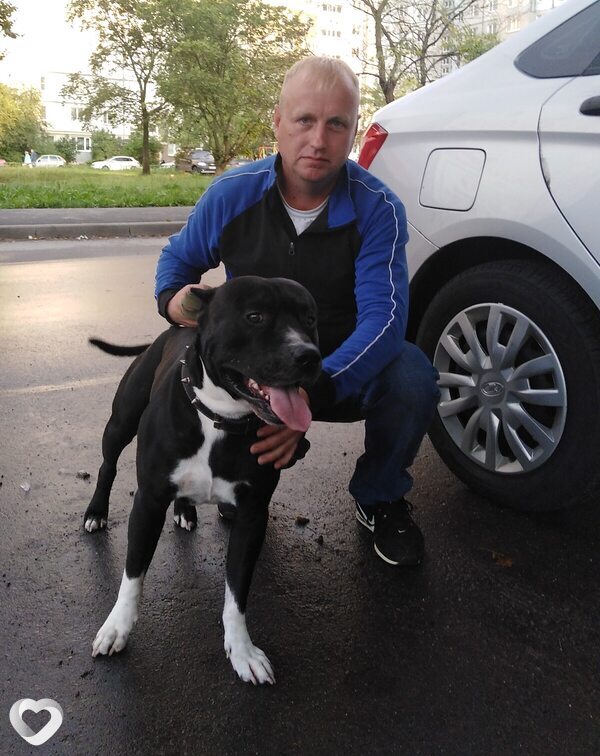 Сергей, 45, Вологде — анкета №566290