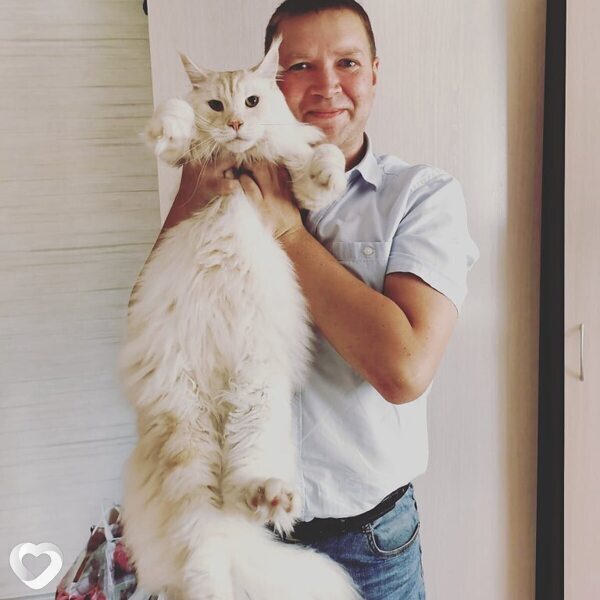 Виталий, 47, Орше — анкета №571947