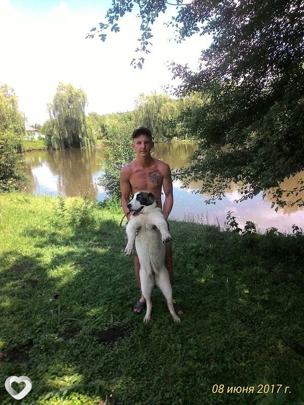 Владимир, 33, Новороссийске — анкета №579132
