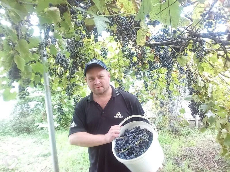 Serega, Курганинск
