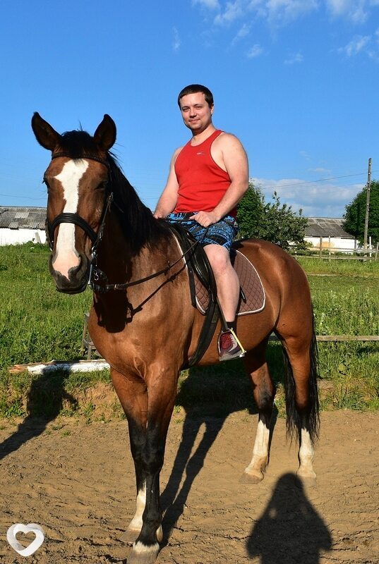 Алексей, 36, Туле — анкета №582491