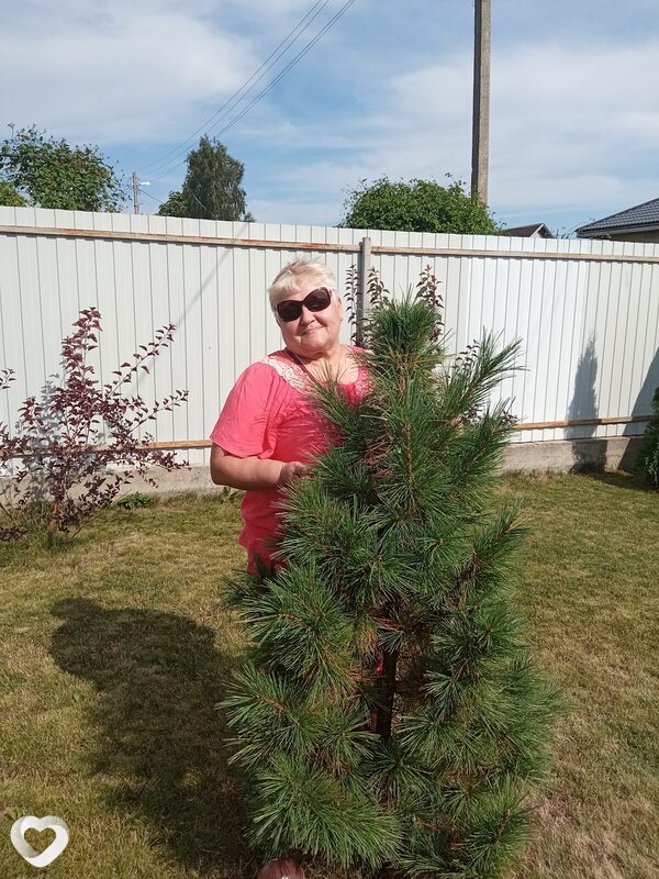 Светлана, 68, Орше — анкета №585258