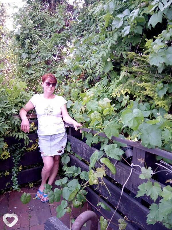Галина, Катовице