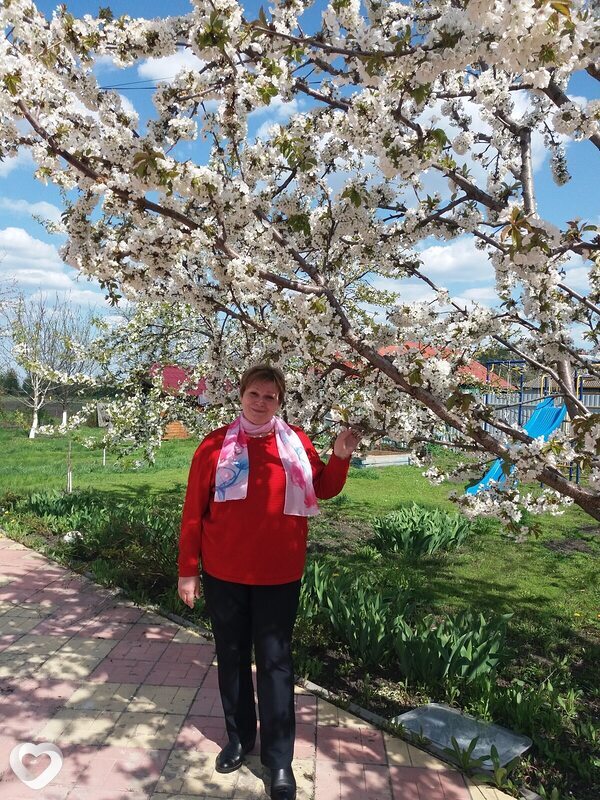 Надежда, 62, Воронеже — анкета №593078