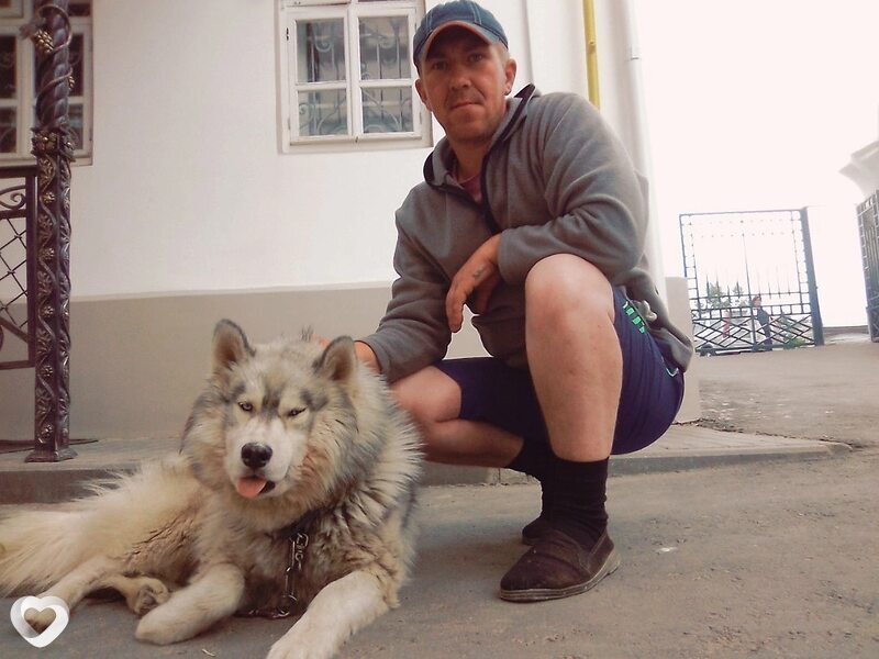 Владимир, 40, Арзамасе — анкета №594182