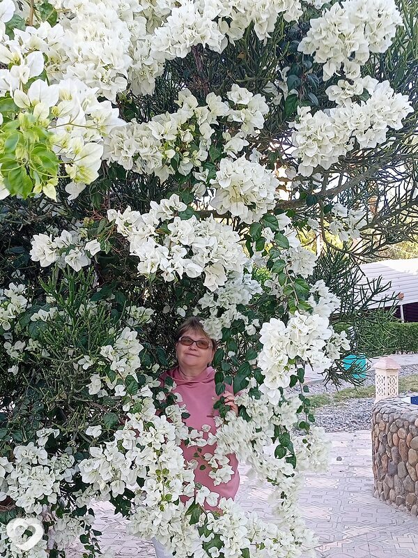 Александра, 62, Сочи — анкета №594490