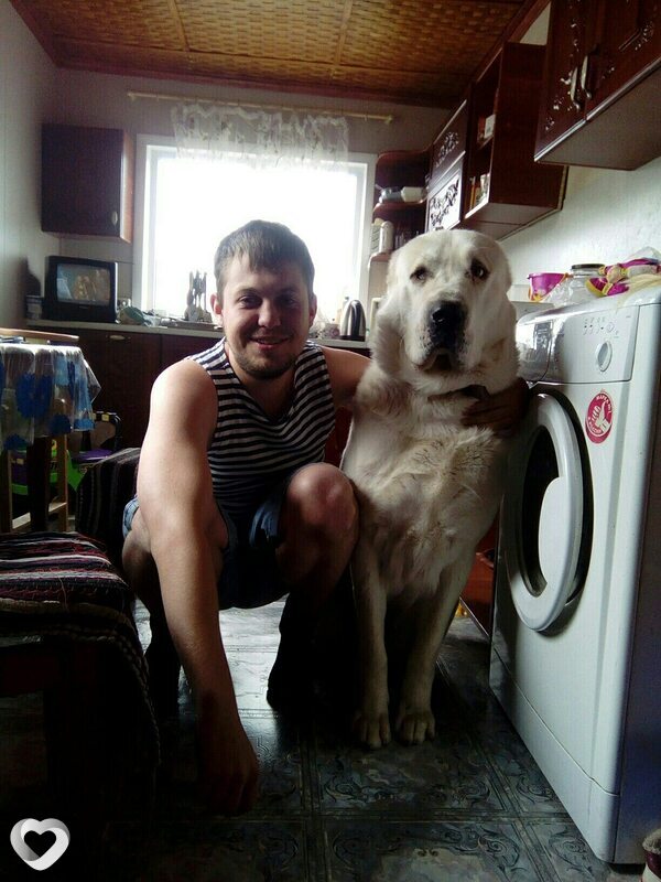Алексей, 31, Братске — анкета №597357