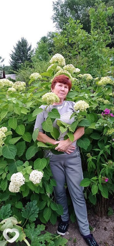 Ирина, 63, Спасск-Дальний — анкета №598439