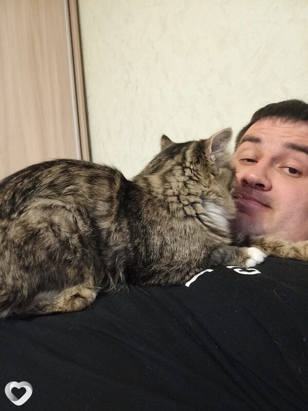 Василий, 34, Перми — анкета №598694
