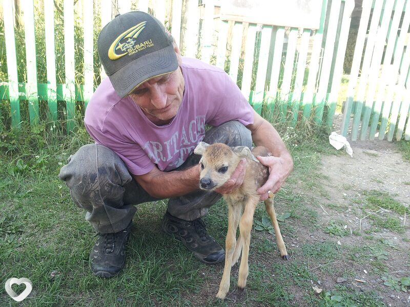 Виктор, 60, Реже — анкета №599041
