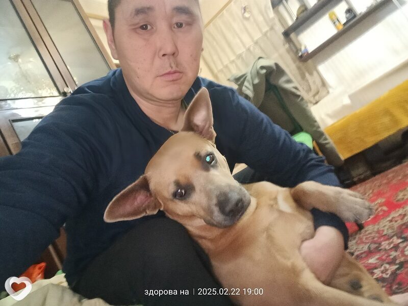 Денис, 43, Петропавловске-Камчатском — анкета №600155