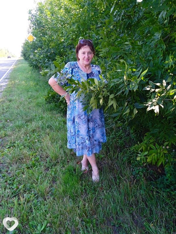 Татьяна, 63, Старом Осколе — анкета №605468