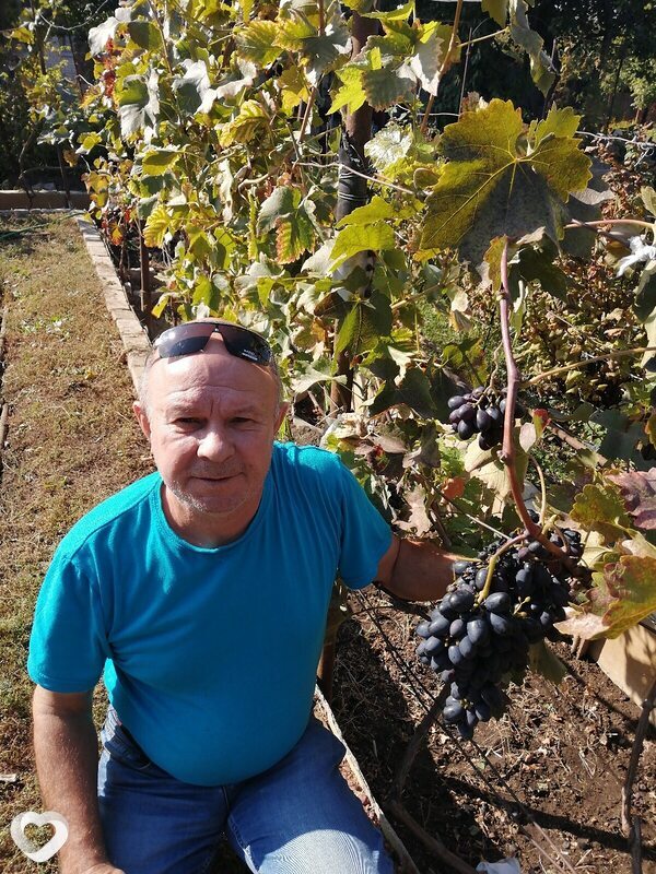 Сергей, 67, Волгограде — анкета №605256