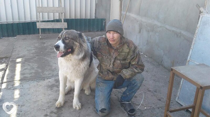Наиль Иргалиев, 35, Астрахани — анкета №605371