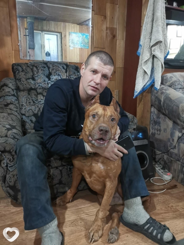 Денис, 41, Москве — анкета №607804