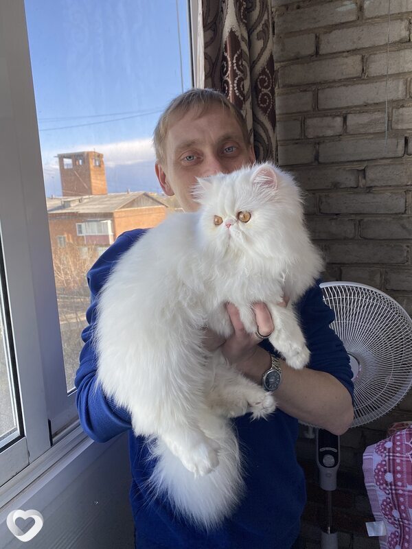 Денис, 44, Тайшете — анкета №609090