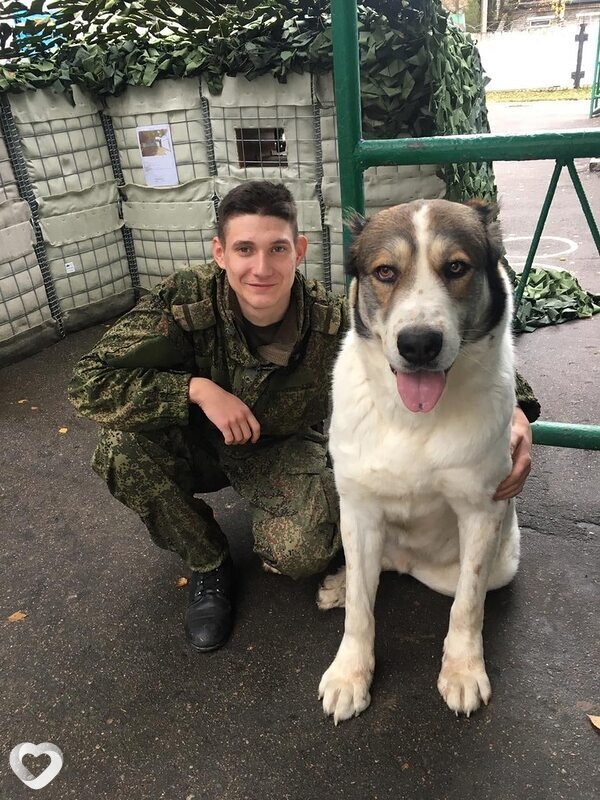 Илюша, Зеленоград