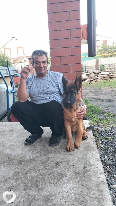 Александр, 55, Ульяновске — анкета №612614