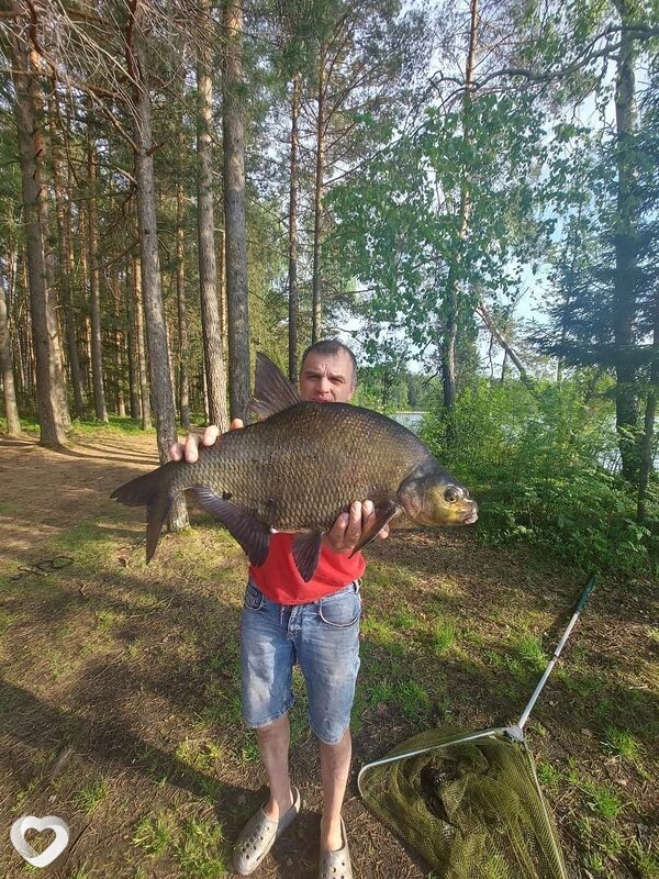 Александр, 43, Арзамасе — анкета №615004
