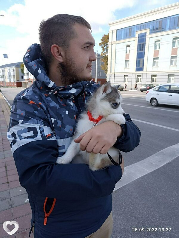 Юрий, 25, Белгороде — анкета №617611