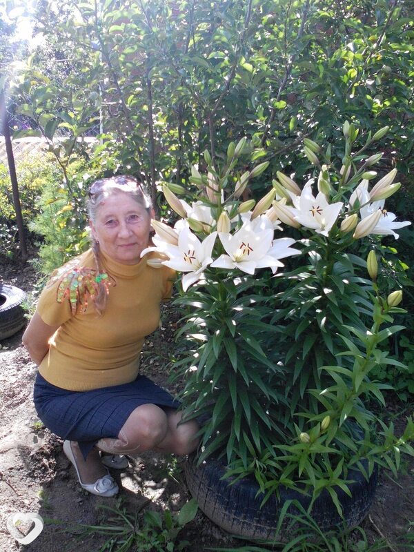 Татьяна, 66, Астрахани — анкета №620446