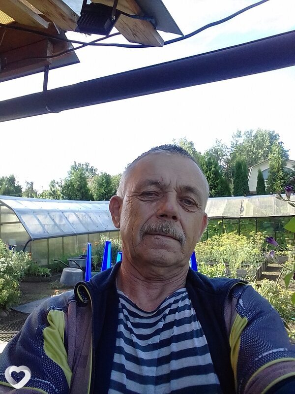 Николай, 68, Сосновом Боре — анкета №621397