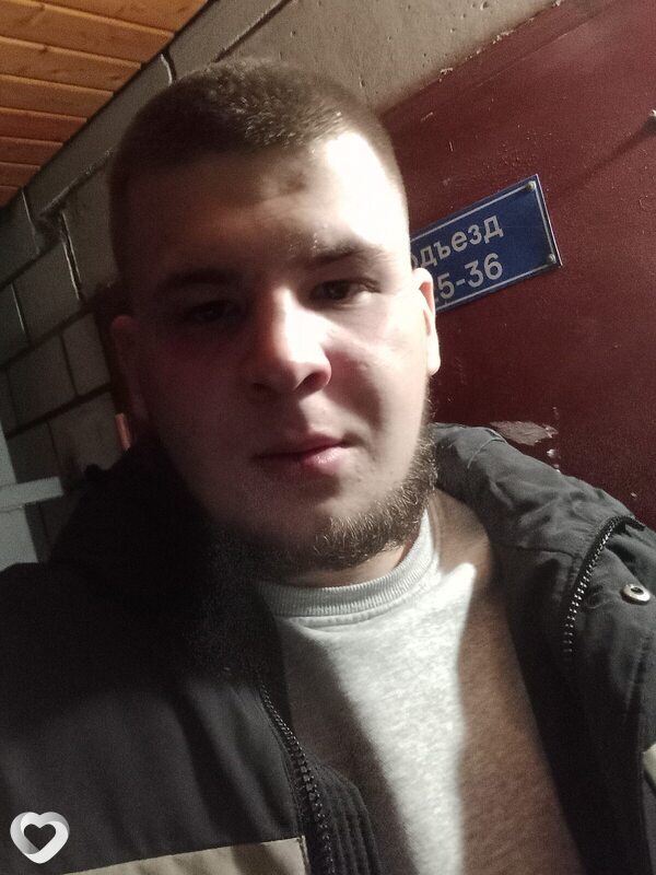 Роман, Сокол