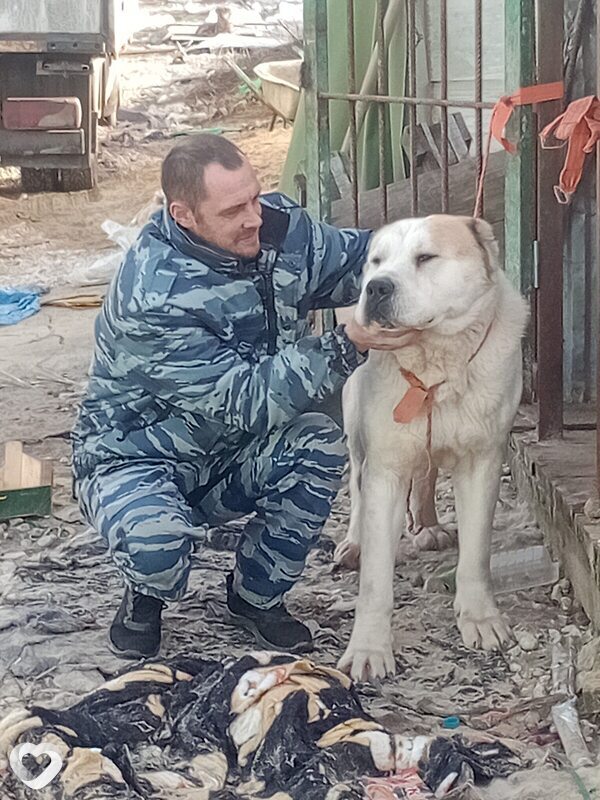 Ник, 46, Покрове — анкета №624606