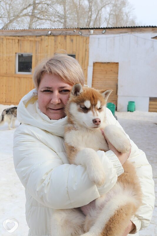 Елена, 42, Челябинске — анкета №625559