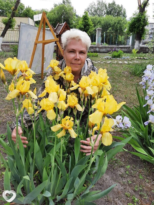 Елена, 54, Барнауле — анкета №627544