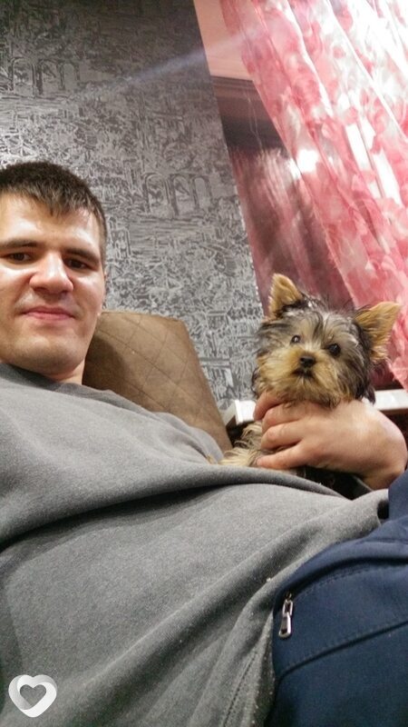 Марсель, 32, Ульяновске — анкета №630005