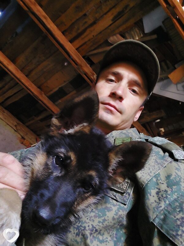 Дмитрий, 33, Оренбурге — анкета №630202