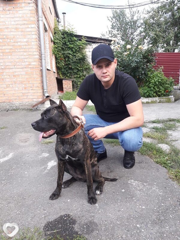 Алан, 34, Владикавказе — анкета №633525