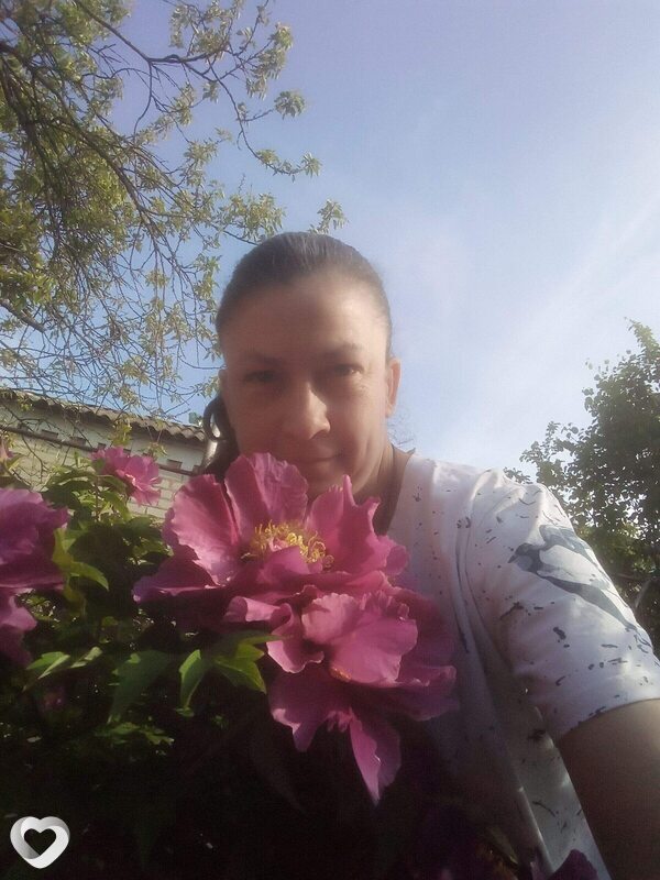 Rina, Волноваха