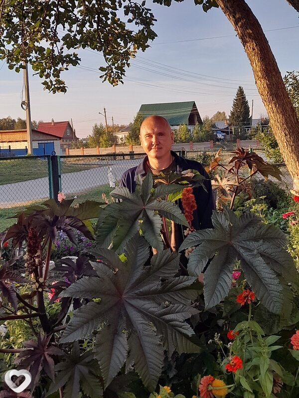 Роман, 36, Челябинске — анкета №635937