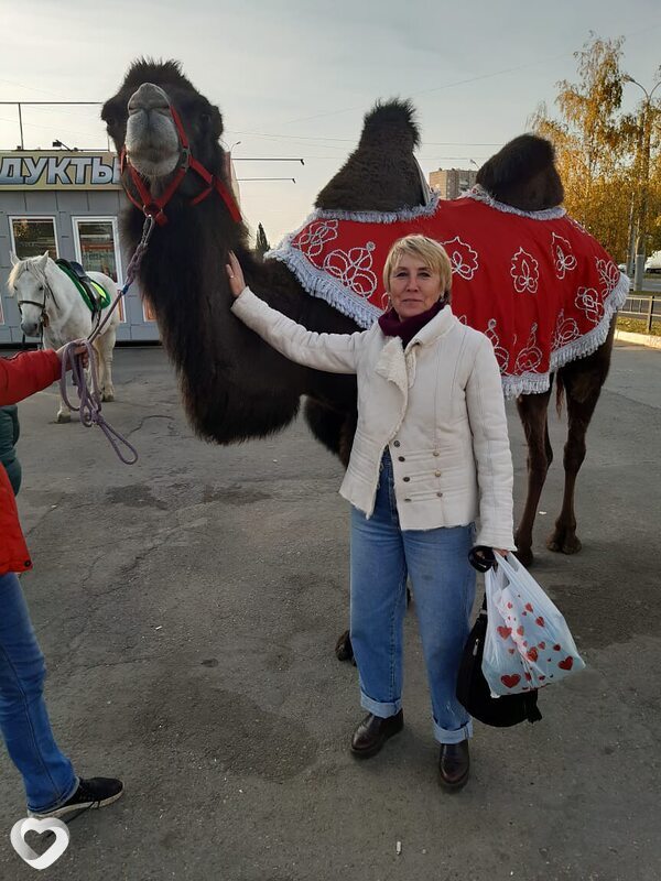 Надежда, 65, Ижевске — анкета №636536