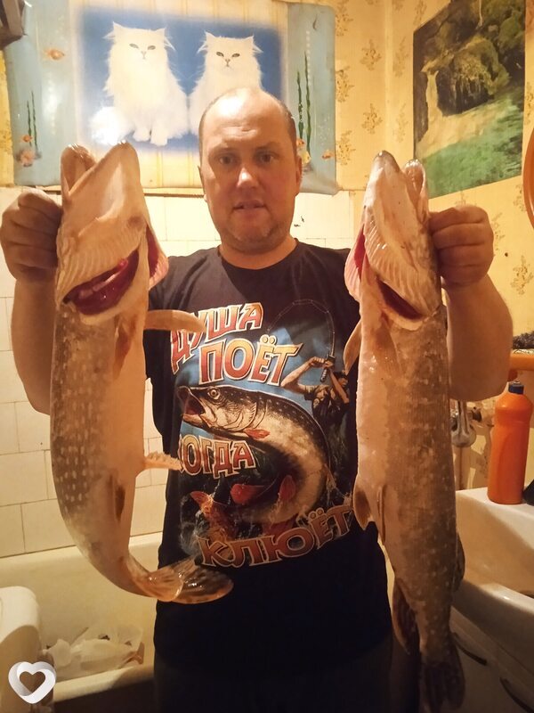 Сергей, 44, Богородицке — анкета №642470