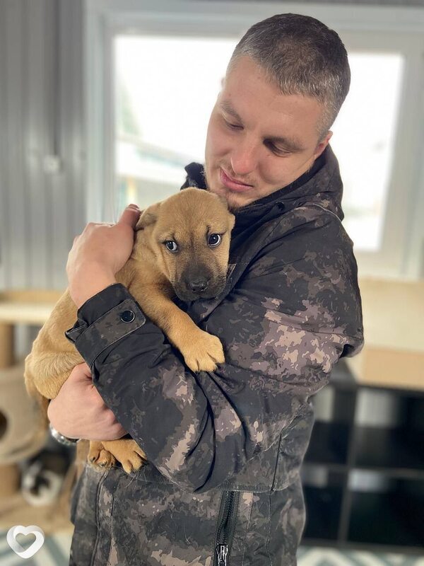 Alex, 31, Ульяновске — анкета №644095