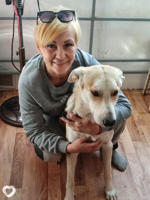 Светлана, 51, Нижнем Новгороде — анкета №647525