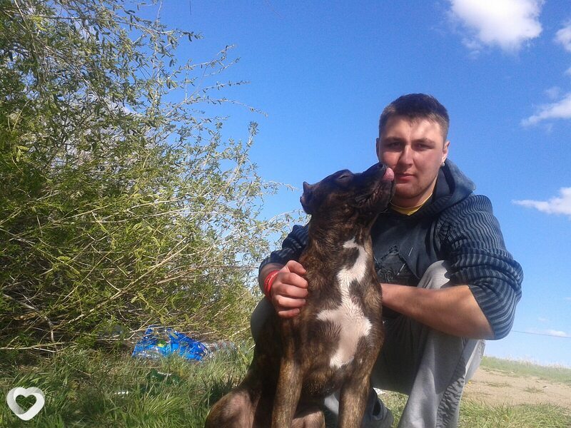 Григорий, 38, Караганде — анкета №647608