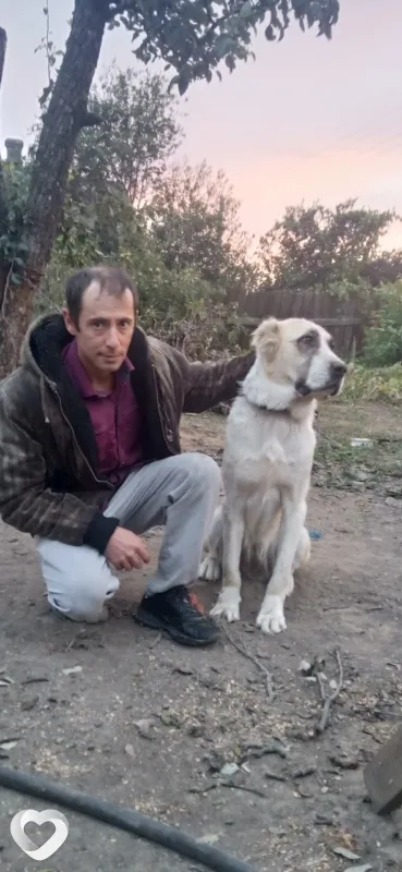 Асан, 39, Симферополе — анкета №9851