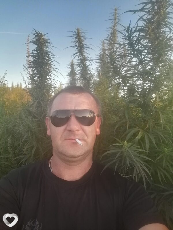 Александр, Яранск