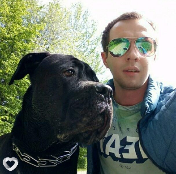 Дмитрий, 30, Москве — анкета №651294