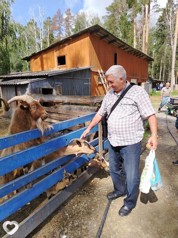 Владимир, Асбест
